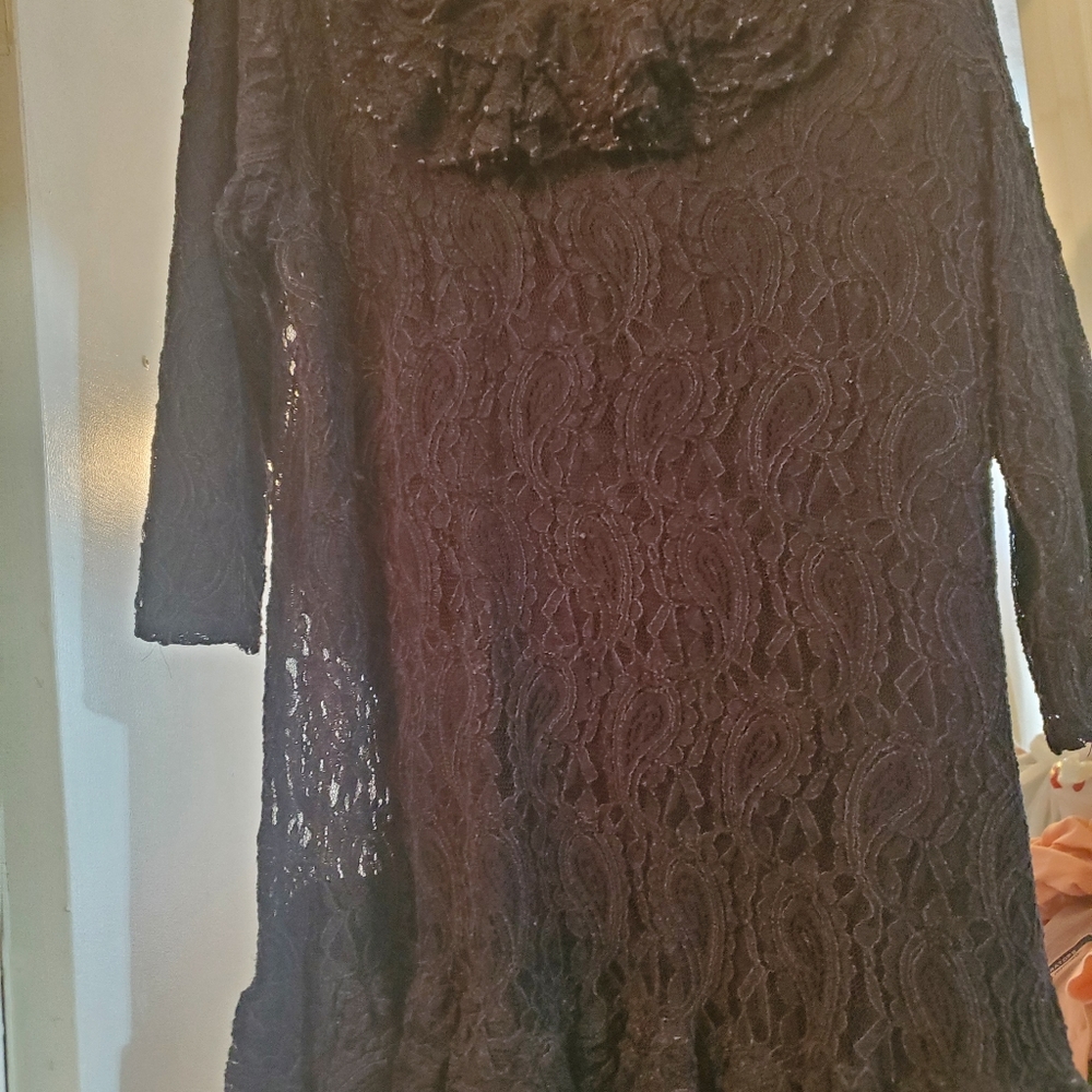 Modesty - Picture 2 of 2